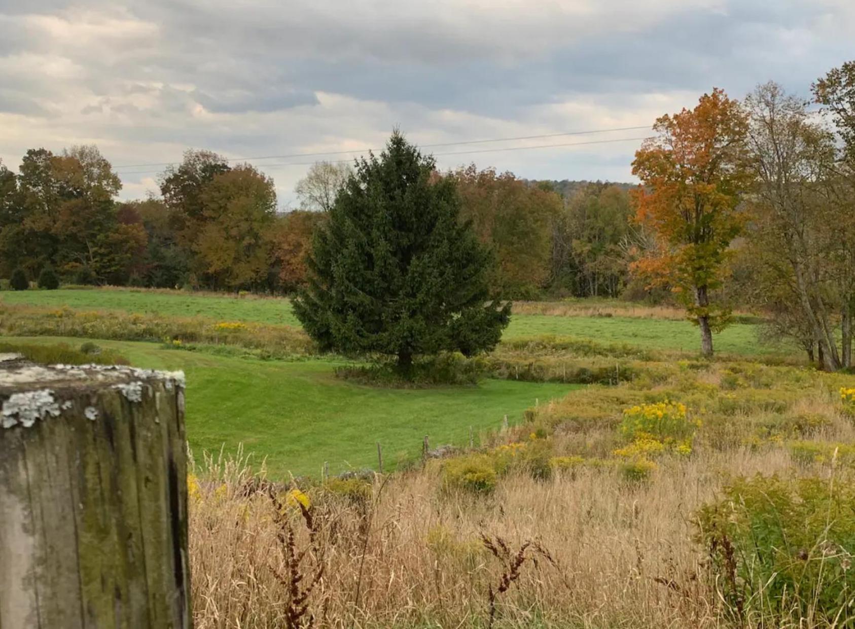 Idea Farm Hotel Callicoon Center Bagian luar foto