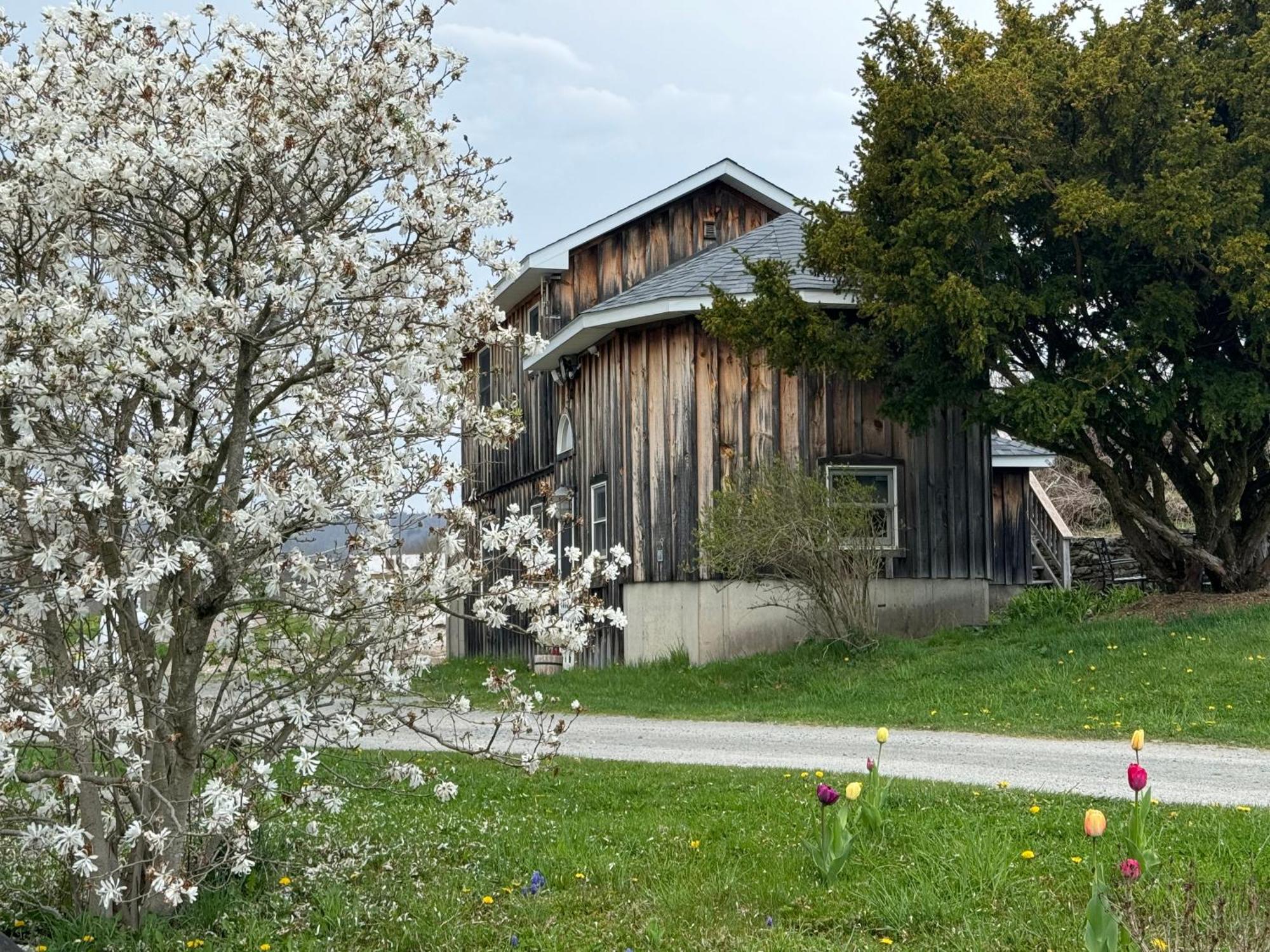 Idea Farm Hotel Callicoon Center Bagian luar foto