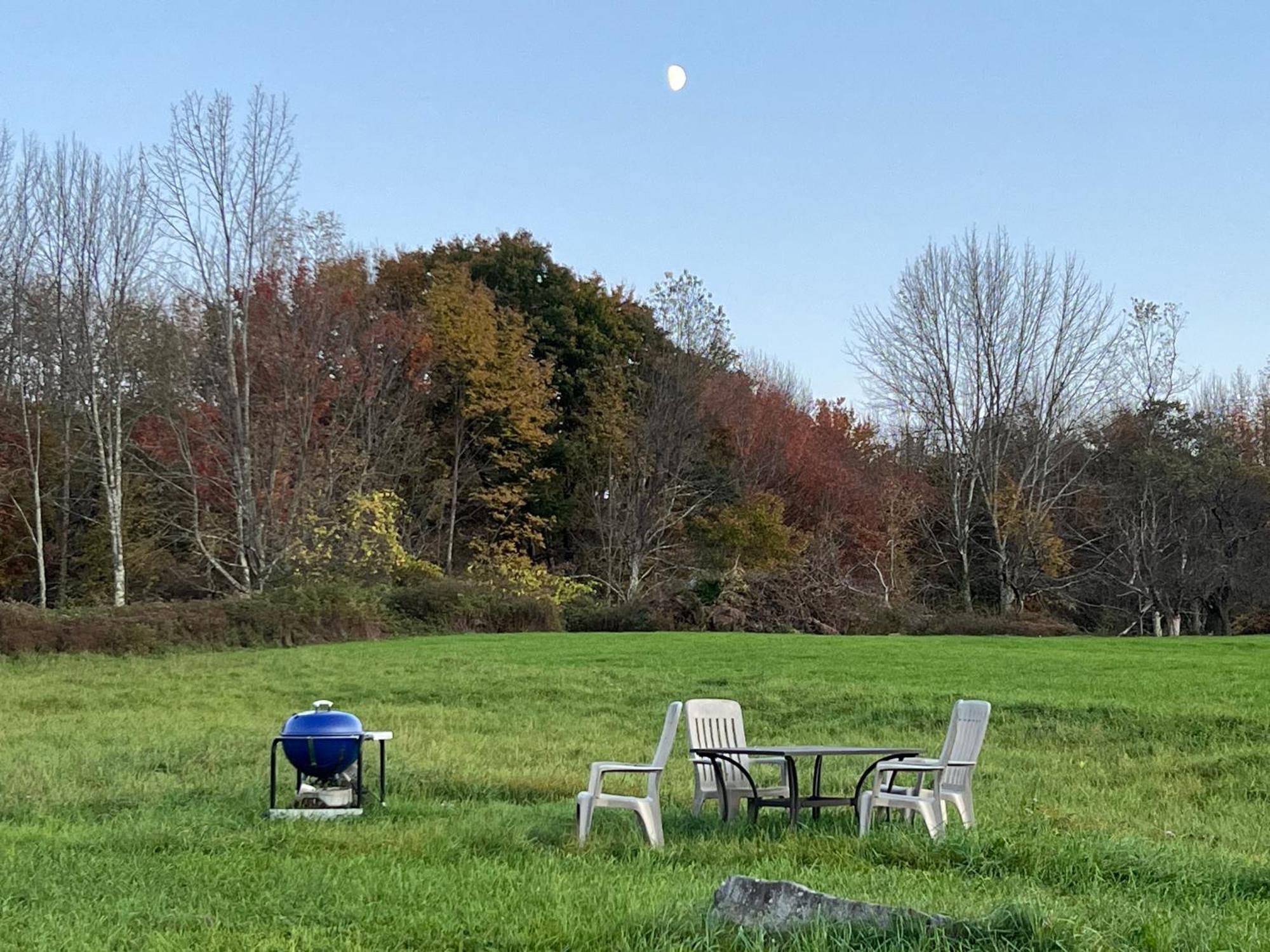 Idea Farm Hotel Callicoon Center Bagian luar foto