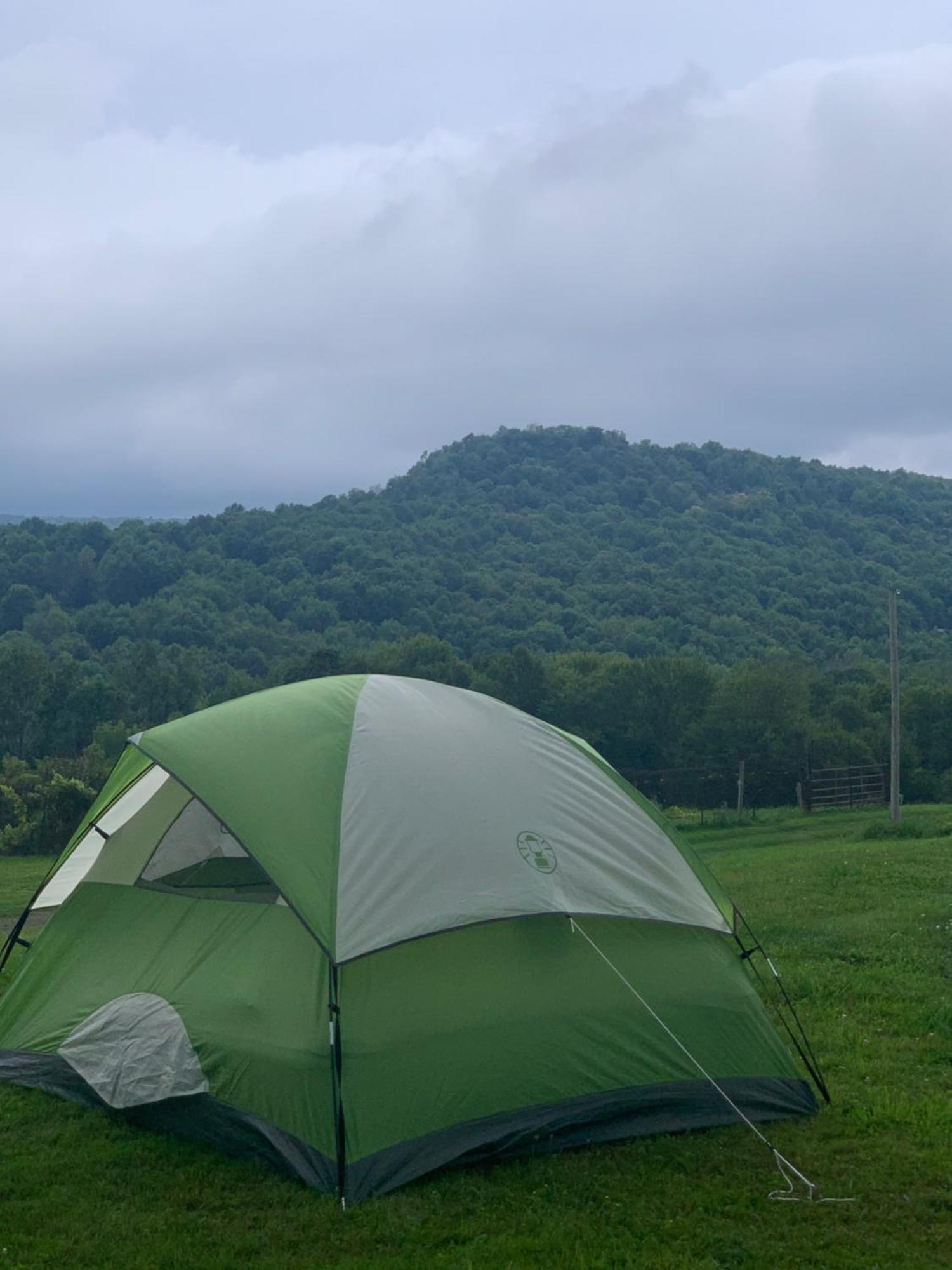 Idea Farm Hotel Callicoon Center Bagian luar foto
